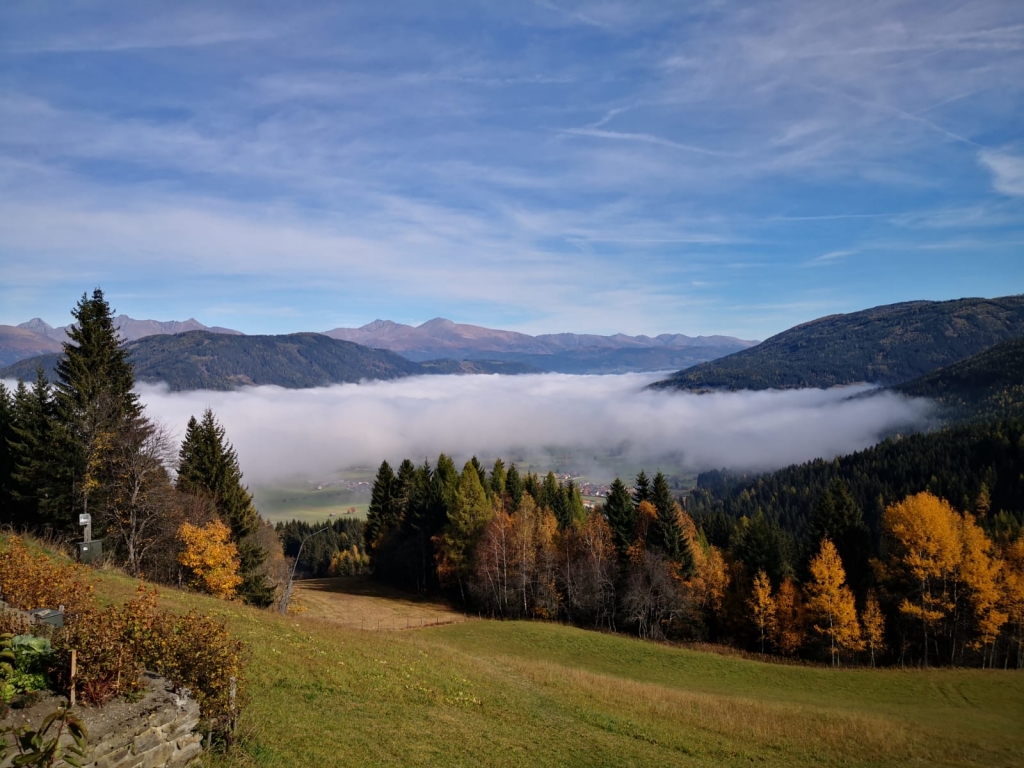 WhatsApp_Image_2019-10-29_at_18.39.34_2